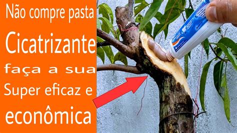 Como Fazer Pasta Cicatrizante Para Plantas F Cil E Econ Mica Youtube