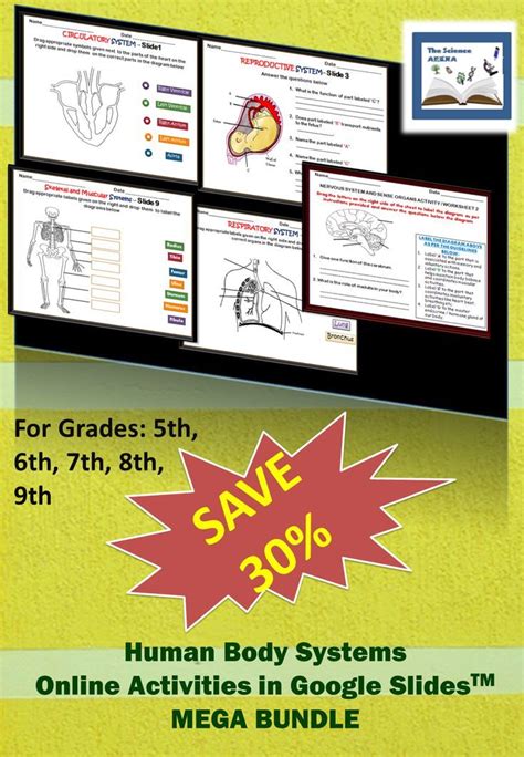 Human Body Systems Activities Interactive Worksheets Digital Bundle