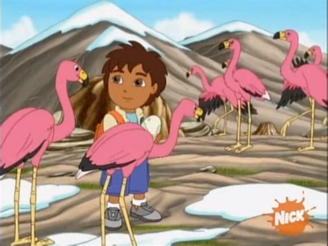 A New Flamingo Mami Go Diego Go Wiki Fandom