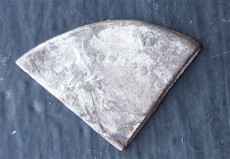 🥇 BANNER - Cut 1652 Massachusetts Oak Tree "spiny tree" schilling