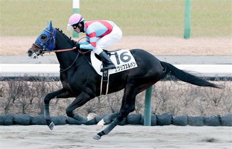 【中山4r・3歳新馬】エクリプスルバンが1番人気に応える快勝 戸崎圭太騎手「リズムのいい走り」 スポーツ報知