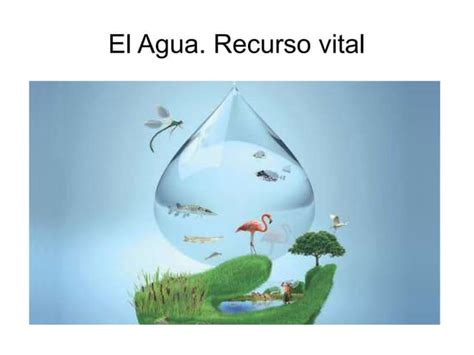 Agua Recurso Natural Ppt