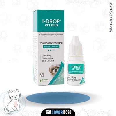 The 7 Best Cat Eye Drops 2023 – Reviews & Top Picks