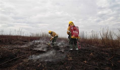 Se Mantiene Activo Un Foco De Incendio Forestal En San Rafael MendoVoz