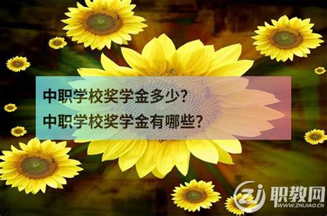 中职学校奖学金多少？中职学校奖学金有哪些？ 职教网