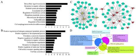 Illustration Of Mirnas And Their Targeted Genes Analysis Of The