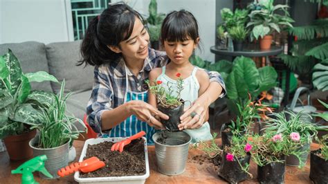 Tips And Tricks For New Plant Parents Yardbarker