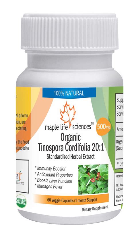 ORGANIC Tinospora Cordifolia 20 1 Extract Capsules Giloy Guduchi EBay