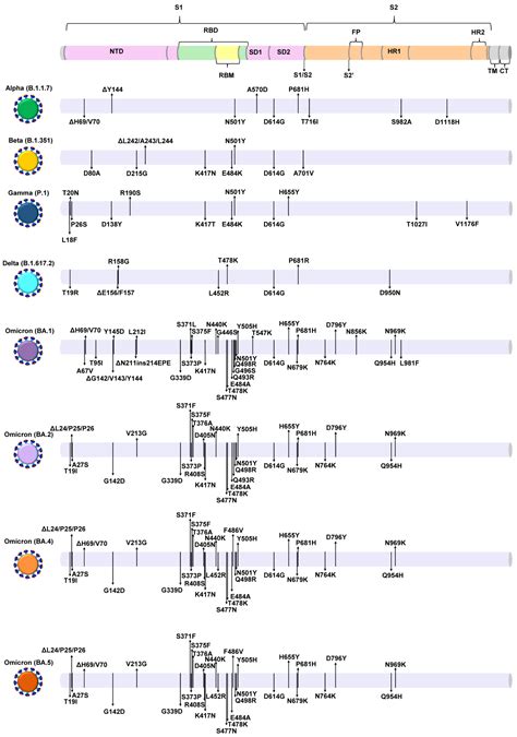 Life | Free Full-Text | Detection of Circulating SARS-CoV-2 Variants of ...