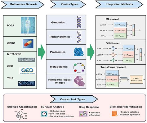 Frontiers A Survey On Multi Omics Based Cancer Diagnosis Using