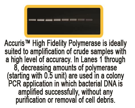 Accuris High Fidelity PCR Accuris Instruments