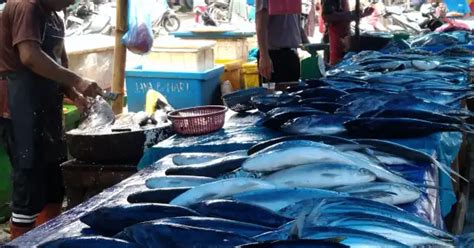 Pasokan Berkurang Harga Ikan Di Aceh Timur Naik