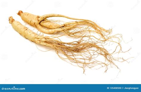 Ginseng Root Stock Photo Image Of Healthcare Herbal 135408500