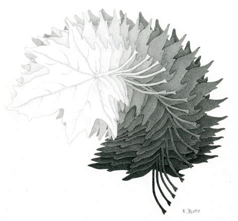 Pencil Drawing of Maple Leaves Drawing by Karla Beatty | Pixels