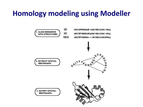 Homology modeling: Modeller