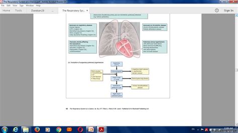 Pulmonary Vascular Disease Pptx D Majeed Muhadharaty