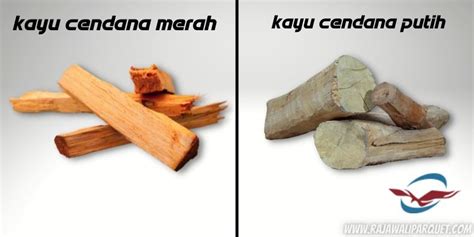 Apa Saja Manfaat Kayu Cendana Yuk Kita Cari Tahu Rajawali Parquet