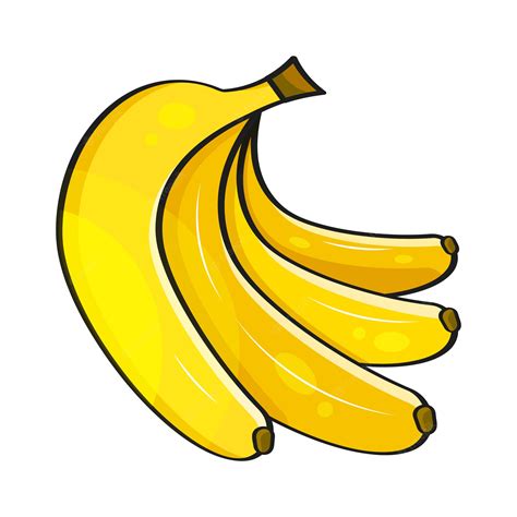 Premium Vector | Banana . Vector Of Bananas. Vector Illustration