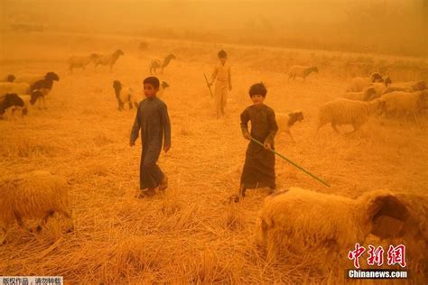 伊拉克多地恶劣沙尘暴天气持续