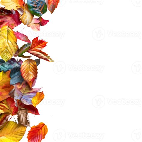 Autumn Leaves Border on Transparent Background 45838639 PNG