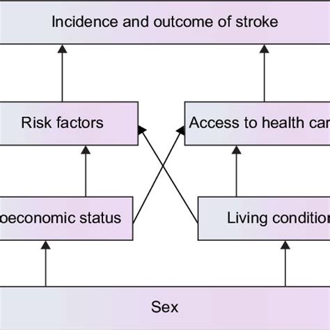 Socioeconomic Mechanism Underlying Sex Differences In Stroke