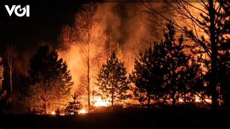 Kebakaran Dahsyat Di Kawasan Hutan Thompson California 13 Ribu Warga