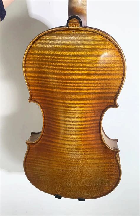 Stradivarius Violino Ubicaciondepersonas Cdmx Gob Mx