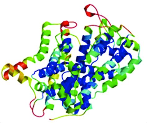 3d‑model Of Sodium‑dependent Serotonin Transporter Of Human Using Download Scientific Diagram