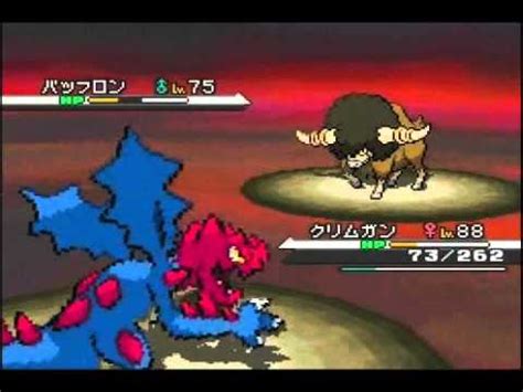 Pokemon Black And White Elite Four Vs Champion Adeku Walkthrough