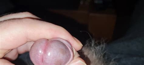 Schwanz Gewichst Free Gay Masturbation HD Porn Video 6f XHamster