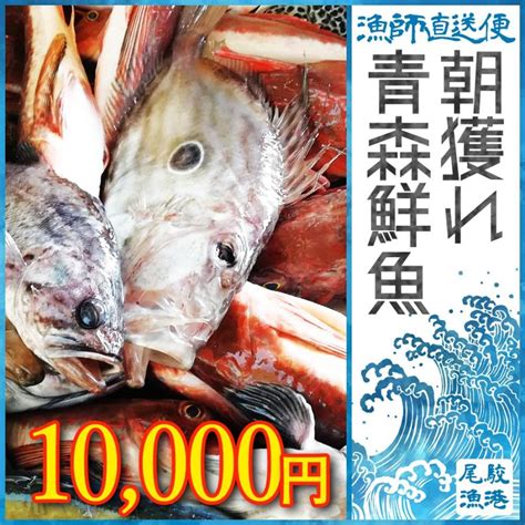 朝獲れ 鮮魚 セット 青森 尾駮漁港 10000円 贈り物 お歳暮 魚詰合せ Obc As0004尾駮鮮魚団yahoo店 通販