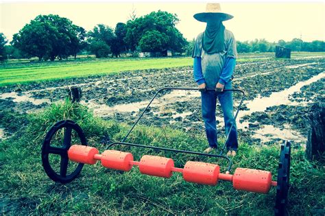 Inca Philippines Rice Drum Seeder