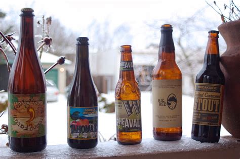 Five Beers Drank During Snowpocalypse 2014