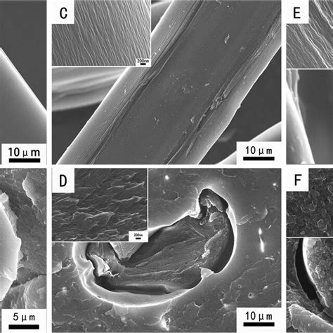 Surface And Cross Sectional Morphology Of The Graphite Fibres Based On