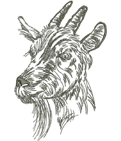 Goat Head Machine Embroidery Design Tested Etsy