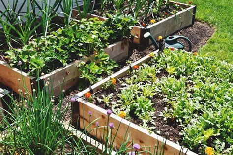 8 Important Tips To Improve Drainage In Your Raised Beds