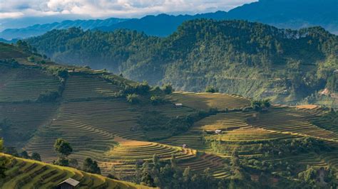 Menjelajahi Hotel Terbaik Di Sapa Panduan Menginap Mewah Di Surga