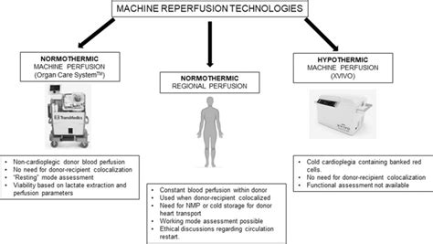 Overall Comparison Of Current Machine Perfusion Technologies Including