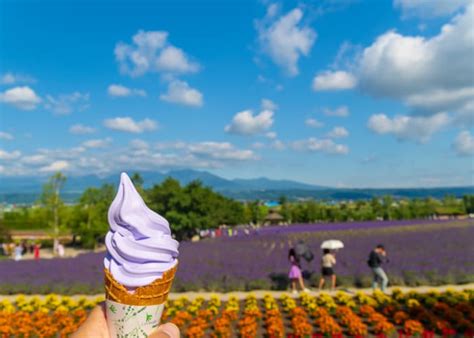 北海道2泊3日モデルコース！札幌と小樽のいいとこ取りで巡る旅プラン 旅先で特別な結婚写真が残せるフォトジェニックジャーニー By