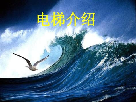 电梯基本结构及基本原理介绍word文档在线阅读与下载无忧文档