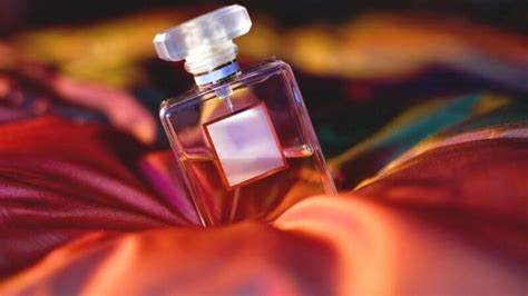 Interpretazione Del Sogno Sull Acquisto Di Profumo Per Una Donna Single