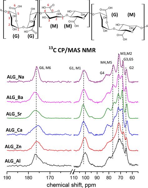 Structure And Dynamics Of Alginate Gels Cross Linked By Polyvalent Ions