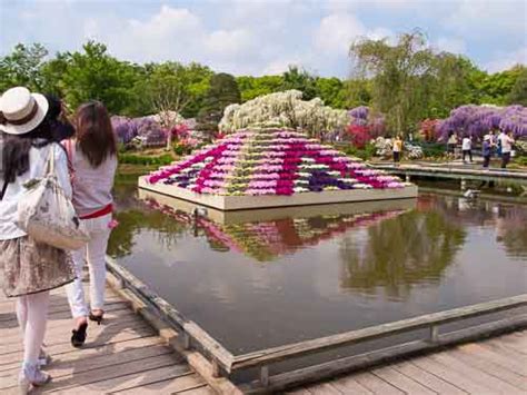 Snapshot Enter The Floral Paradise Of Ashikaga Flower Park The