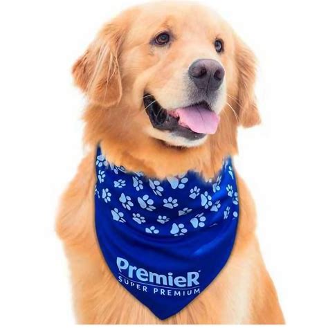 Bandana Para Cachorro Personalizada Authentic Brindes