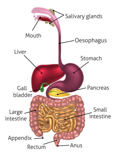 Https Medicalsciencenavigator Wp Content Uploads