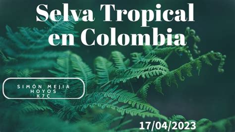 Selva Tropical