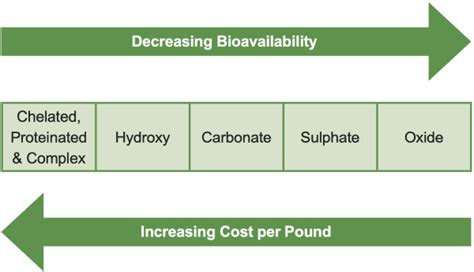 Bioavailability Of Mineral Supplements In Beef Cattle Nutrition