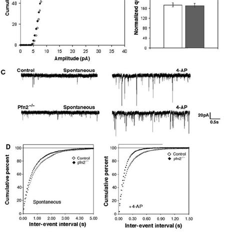 Glutamatergic Neurons In Pfn2 À À Mice Are Hyper Excitable And Show