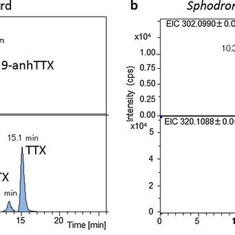 Lc Ms Extract Ion Chromatograms Of Tetrodotoxin Standard Mixture