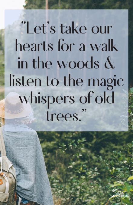 80 Best Forest Quotes To Inspire You Walk In The Woods in 2022 | Forest quotes, Into the woods ...